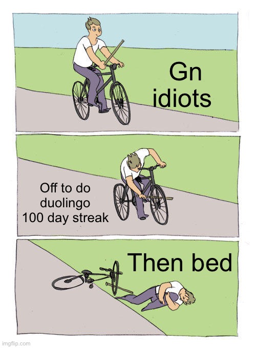 Bike Fall | Gn idiots; Off to do duolingo 100 day streak; Then bed | image tagged in memes,bike fall | made w/ Imgflip meme maker