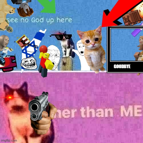 superior | GOODBYE | image tagged in hail pole cat | made w/ Imgflip meme maker