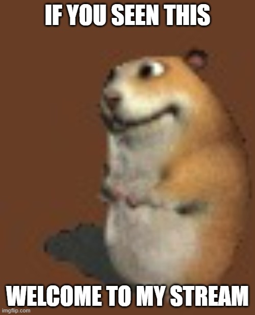 Hamster | IF YOU SEEN THIS; WELCOME TO MY STREAM | image tagged in hamster | made w/ Imgflip meme maker