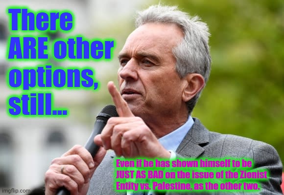 Robert F Kennedy Jr. | There ARE other options, still... Even if he has shown himself to be JUST AS BAD on the issue of the Zionist Entity vs. Palestine, as the ot | image tagged in robert f kennedy jr | made w/ Imgflip meme maker