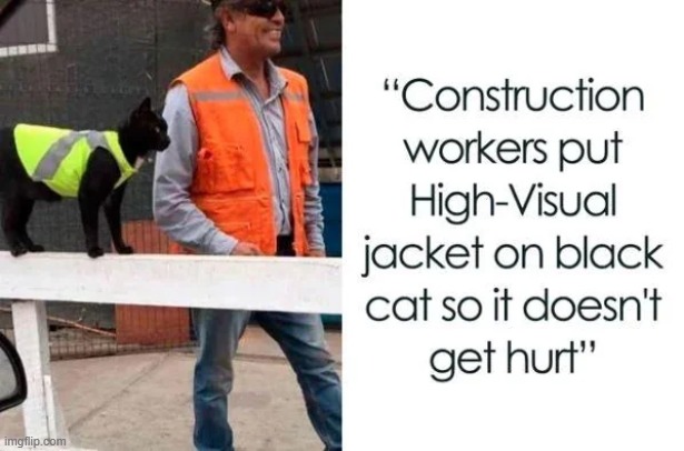 image tagged in cat,construction worker,jacket | made w/ Imgflip meme maker