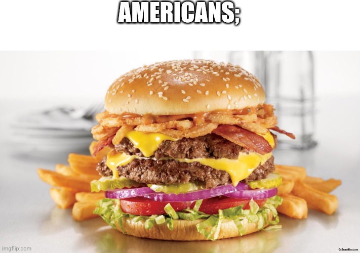 Burger & Fries | AMERICANS; | image tagged in burger fries | made w/ Imgflip meme maker