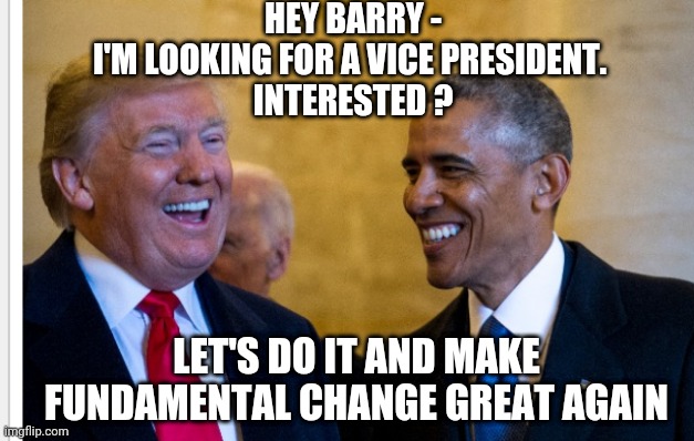 Shake It Up | HEY BARRY -
I'M LOOKING FOR A VICE PRESIDENT. 
INTERESTED ? LET'S DO IT AND MAKE FUNDAMENTAL CHANGE GREAT AGAIN | image tagged in leftists,democrats,liberals,2024 | made w/ Imgflip meme maker