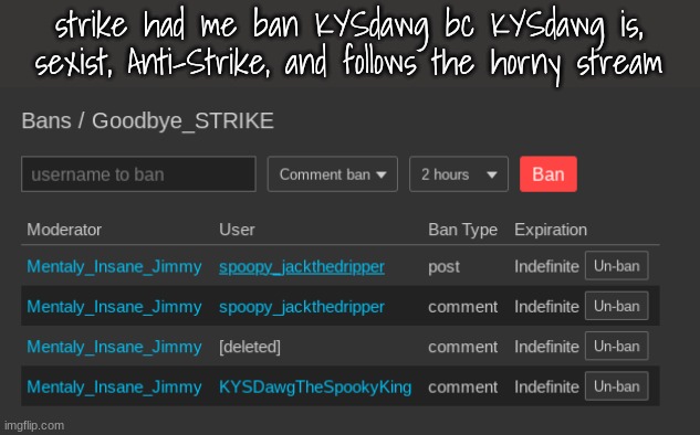 strike had me ban KYSdawg bc KYSdawg is, sexist, Anti-Strike, and follows the horny stream | made w/ Imgflip meme maker