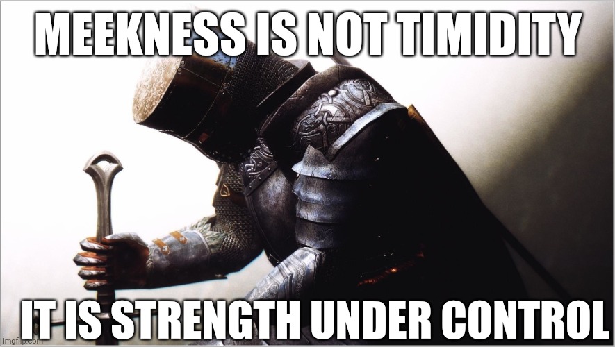 crusader kneeling | MEEKNESS IS NOT TIMIDITY; IT IS STRENGTH UNDER CONTROL | image tagged in crusader kneeling | made w/ Imgflip meme maker