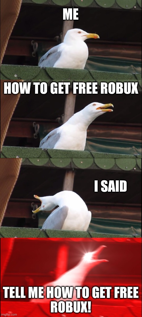 Inhaling Seagull | ME; HOW TO GET FREE ROBUX; I SAID; TELL ME HOW TO GET FREE
ROBUX! | image tagged in memes,inhaling seagull | made w/ Imgflip meme maker