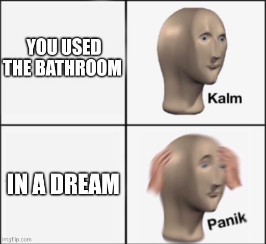 kalm panik | YOU USED THE BATHROOM; IN A DREAM | image tagged in kalm panik,relatable | made w/ Imgflip meme maker