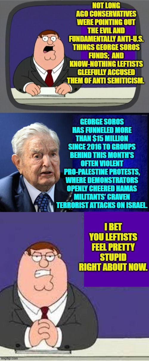 Actually, since leftists approve of hatred and violence against Jews, they are definitely pro-Soros. | image tagged in truth | made w/ Imgflip meme maker