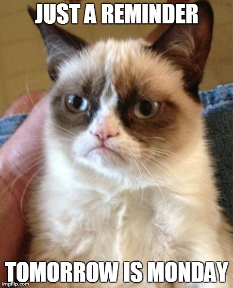 Grumpy Cat Meme | JUST A REMINDER TOMORROW IS MONDAY | image tagged in memes,grumpy cat | made w/ Imgflip meme maker
