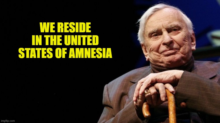 WE RESIDE IN THE UNITED STATES OF AMNESIA | made w/ Imgflip meme maker