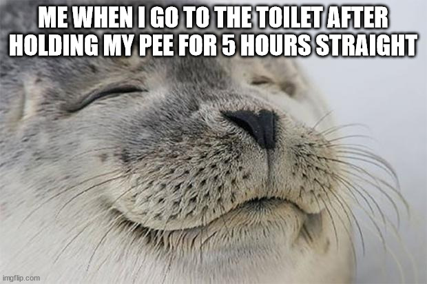 Satisfied Seal Meme | ME WHEN I GO TO THE TOILET AFTER HOLDING MY PEE FOR 5 HOURS STRAIGHT | image tagged in memes,satisfied seal,facts,funny | made w/ Imgflip meme maker