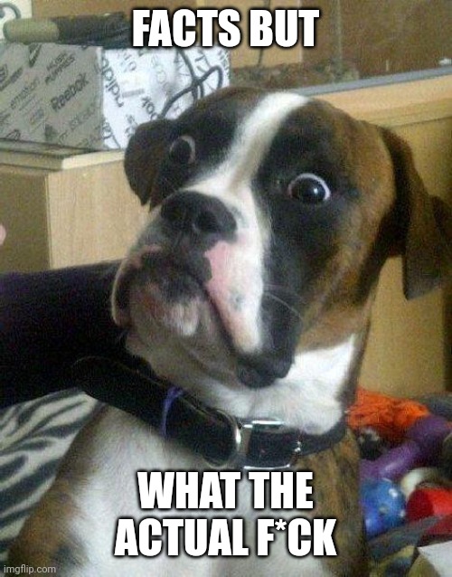 Surprised Dog | FACTS BUT WHAT THE ACTUAL F*CK | image tagged in surprised dog | made w/ Imgflip meme maker