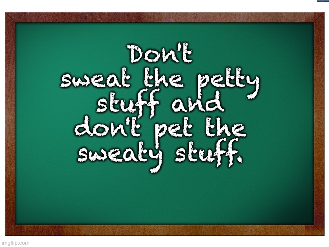 Good avice | Don't sweat the petty stuff and don't pet the sweaty stuff. | image tagged in green blank blackboard | made w/ Imgflip meme maker