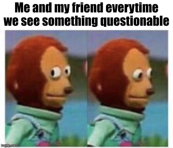 monke | Me and my friend everytime we see something questionable | image tagged in side eye teddy,memes | made w/ Imgflip meme maker
