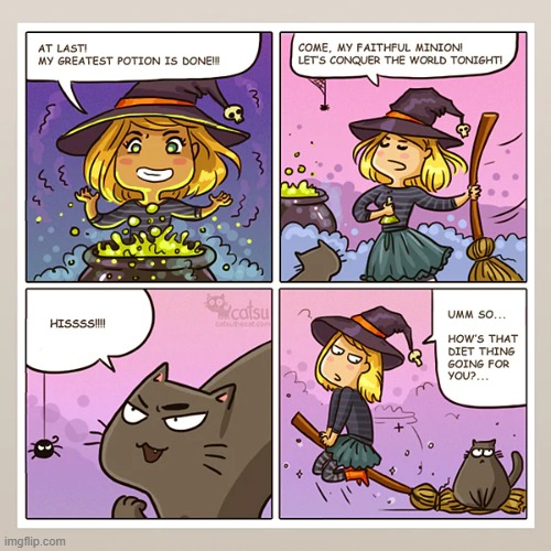 image tagged in memes,comics/cartoons,witch,heavy,black cat,broom | made w/ Imgflip meme maker