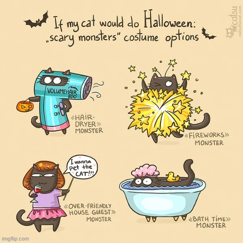 image tagged in memes,comics/cartoons,cats,halloween,costume,choices | made w/ Imgflip meme maker