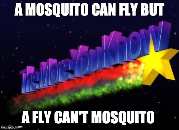 Humor | A MOSQUITO CAN FLY BUT; A FLY CAN'T MOSQUITO | image tagged in the more you know,flies,mosquitoes | made w/ Imgflip meme maker