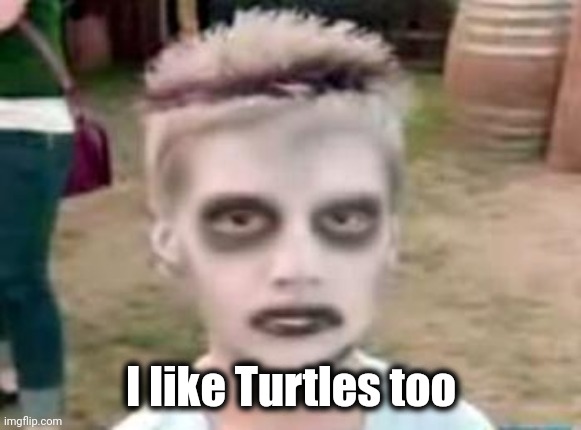 I like turtles | I like Turtles too | image tagged in i like turtles | made w/ Imgflip meme maker