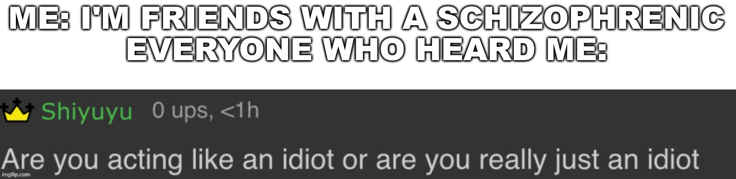 . | ME: I'M FRIENDS WITH A SCHIZOPHRENIC
EVERYONE WHO HEARD ME: | image tagged in are you acting like an idiot or are you really just an idiot | made w/ Imgflip meme maker