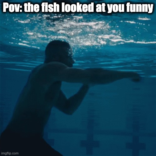 he ded | Pov: the fish looked at you funny | image tagged in memes | made w/ Imgflip meme maker