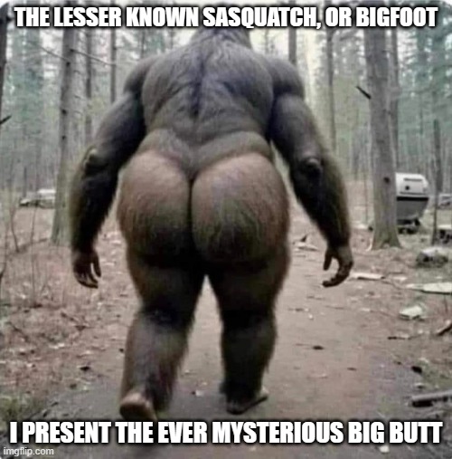 Big BUTT | THE LESSER KNOWN SASQUATCH, OR BIGFOOT; I PRESENT THE EVER MYSTERIOUS BIG BUTT | image tagged in bigfoot,monster,funny memes,funny meme,lol so funny,hairy | made w/ Imgflip meme maker