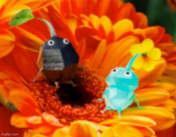 pikmin | made w/ Imgflip meme maker