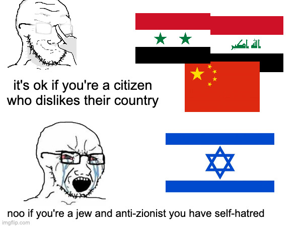 fr zionists are hypocrites | it's ok if you're a citizen who dislikes their country; noo if you're a jew and anti-zionist you have self-hatred | made w/ Imgflip meme maker