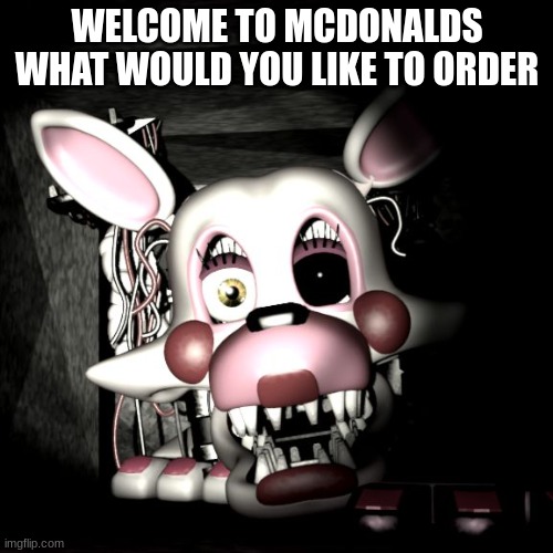 Stop the Mangle!! | WELCOME TO MCDONALDS WHAT WOULD YOU LIKE TO ORDER | image tagged in stop the mangle | made w/ Imgflip meme maker
