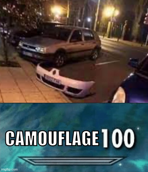 CAMOUFLAGE | image tagged in skyrim skill meme | made w/ Imgflip meme maker