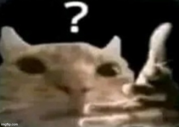 ? | made w/ Imgflip meme maker