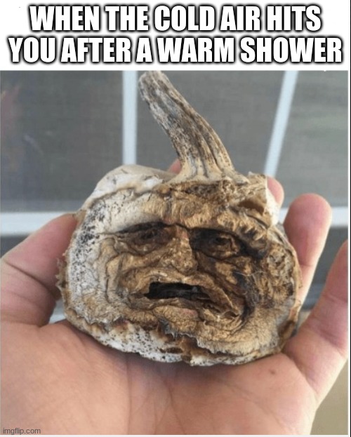 WHEN THE COLD AIR HITS YOU AFTER A WARM SHOWER | image tagged in tree | made w/ Imgflip meme maker