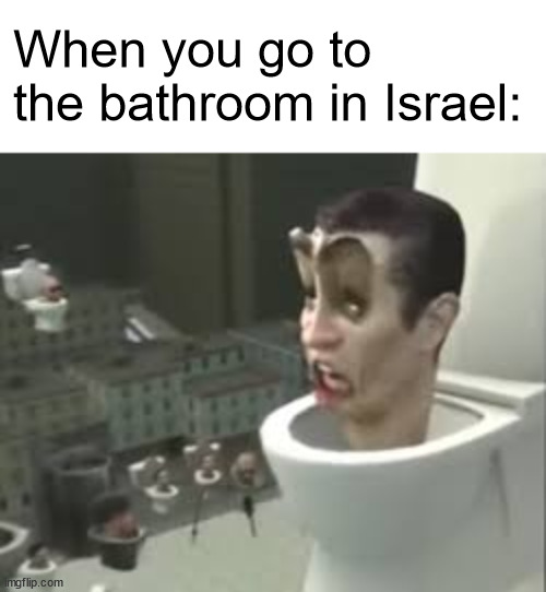Skibidi toilet meme | When you go to the bathroom in Israel: | image tagged in skibidi toilet meme | made w/ Imgflip meme maker