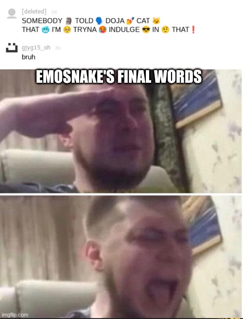EMOSNAKE'S FINAL WORDS | image tagged in crying salute | made w/ Imgflip meme maker