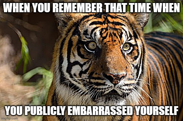 Public Embarrassment | WHEN YOU REMEMBER THAT TIME WHEN; YOU PUBLICLY EMBARRASSED YOURSELF | image tagged in funny memes | made w/ Imgflip meme maker