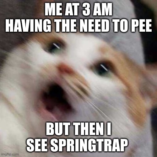 ahhhhhh | ME AT 3 AM HAVING THE NEED TO PEE; BUT THEN I SEE SPRINGTRAP | image tagged in oh no cat,funny memes | made w/ Imgflip meme maker