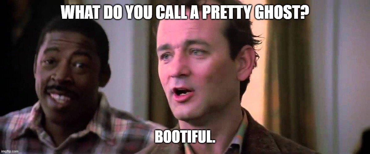 Daily Bad Dad Joke October 30, 2023 | WHAT DO YOU CALL A PRETTY GHOST? BOOTIFUL. | image tagged in ghostbusters mass hysteria | made w/ Imgflip meme maker