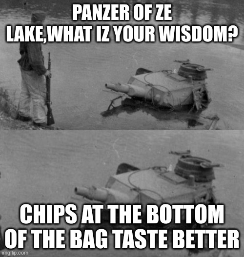 Panzer of the lake | PANZER OF ZE LAKE,WHAT IZ YOUR WISDOM? CHIPS AT THE BOTTOM OF THE BAG TASTE BETTER | image tagged in panzer of the lake | made w/ Imgflip meme maker