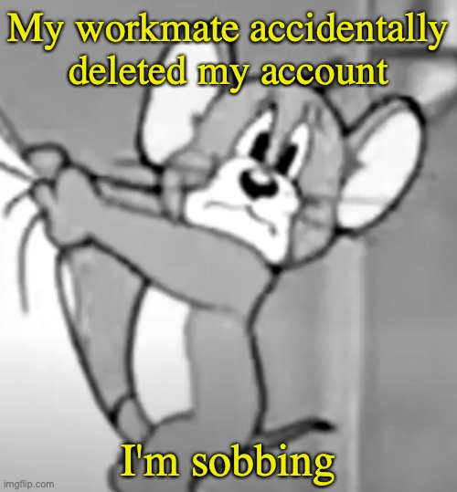 awww the skrunkly | My workmate accidentally deleted my account; I'm sobbing | image tagged in awww the skrunkly | made w/ Imgflip meme maker