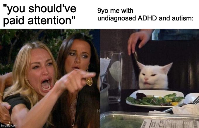 Woman Yelling At Cat | 9yo me with undiagnosed ADHD and autism:; "you should've paid attention" | image tagged in memes,woman yelling at cat,adhd | made w/ Imgflip meme maker