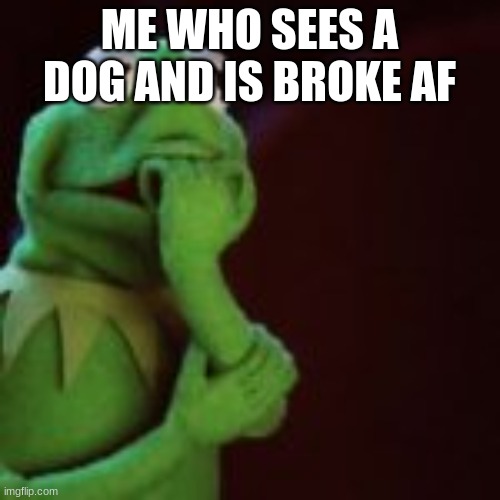 ME WHO SEES A DOG AND IS BROKE AF | made w/ Imgflip meme maker