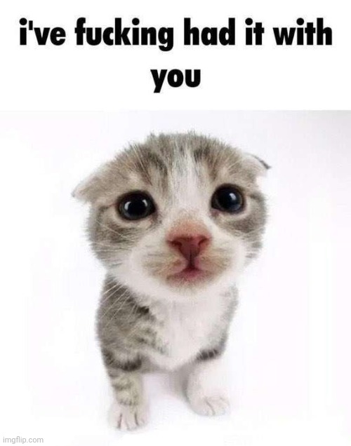 I did it | made w/ Imgflip meme maker