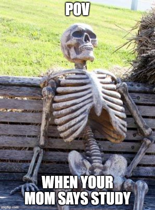 Waiting Skeleton | POV; WHEN YOUR MOM SAYS STUDY | image tagged in memes,waiting skeleton | made w/ Imgflip meme maker