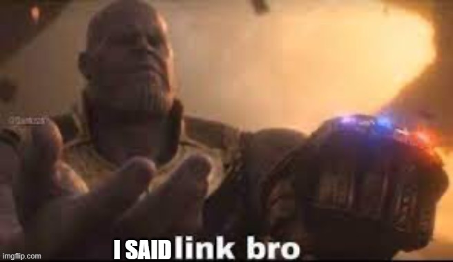 link bro | I SAID | image tagged in link bro | made w/ Imgflip meme maker