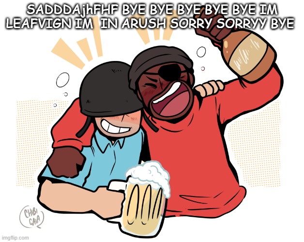 soldier and demo | SADDDAjhFHF BYE BYE BYE BYE BYE IM LEAFVIGN IM  IN ARUSH SORRY SORRYY BYE | image tagged in soldier and demo | made w/ Imgflip meme maker