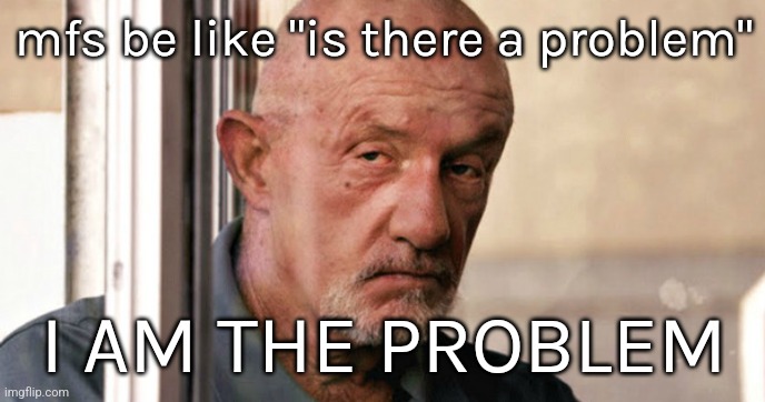 Mike Ehrmantraut | mfs be like "is there a problem"; I AM THE PROBLEM | image tagged in mike ehrmantraut | made w/ Imgflip meme maker