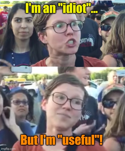 Two faced liberal snowflake | I'm an "idiot"... But I'm "useful"! | image tagged in two faced liberal snowflake | made w/ Imgflip meme maker