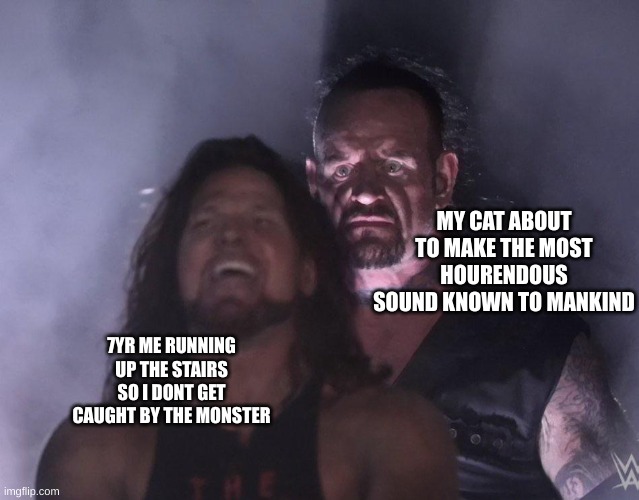 *gak-ughyhfhjrjk* | MY CAT ABOUT TO MAKE THE MOST HOURENDOUS SOUND KNOWN TO MANKIND; 7YR ME RUNNING UP THE STAIRS SO I DONT GET CAUGHT BY THE MONSTER | image tagged in undertaker | made w/ Imgflip meme maker