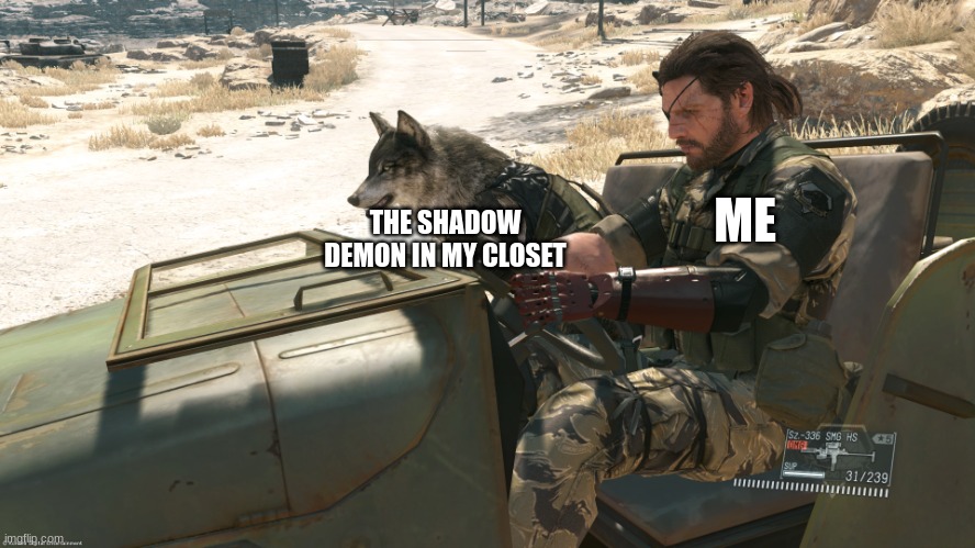 Dad and the dog | ME THE SHADOW DEMON IN MY CLOSET | image tagged in dad and the dog | made w/ Imgflip meme maker