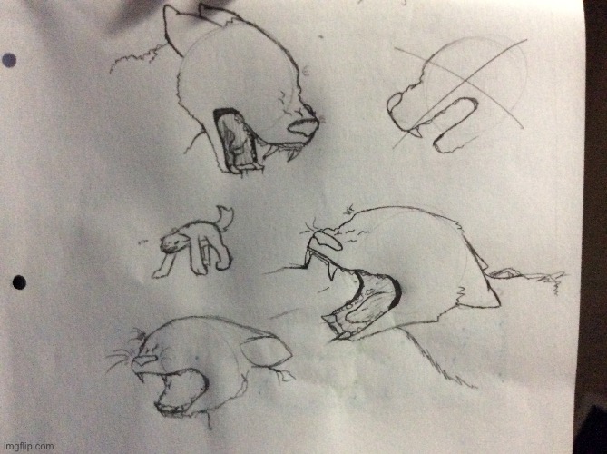 Angry wolfie sketches i did at school (and a catto) | made w/ Imgflip meme maker