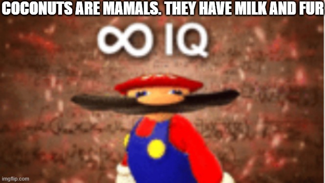 coconuts are mamals | COCONUTS ARE MAMALS. THEY HAVE MILK AND FUR | image tagged in infinite iq | made w/ Imgflip meme maker